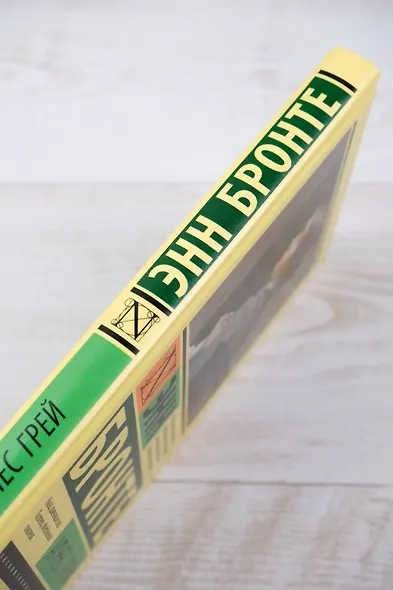 Агнес Грей - фото 5