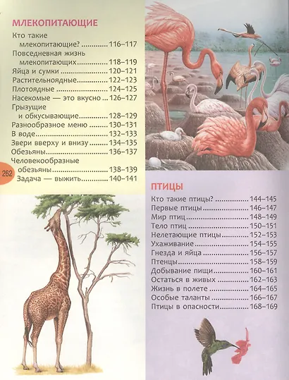 Большая энциклопедия знаний - фото 4