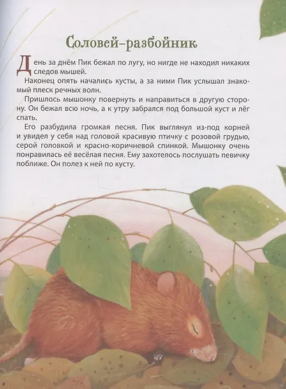 Лесные истории. Сказки о животных - фото 6