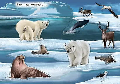 Книга с наклейками и заданиями "Мои первые животные" - фото 4