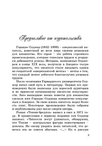 Томми-бродяга - фото 4