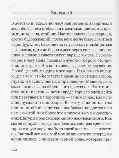 Воображение мира: эссе - фото 7