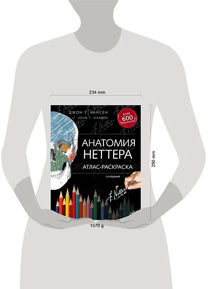 Анатомия Неттера: атлас-раскраска - фото 8