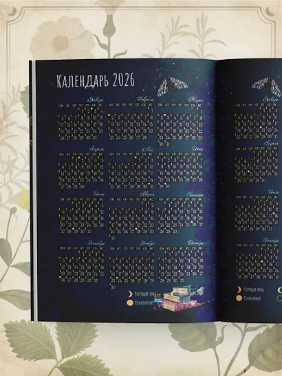 Практическая книга травницы. Сбор, заготовка и ритуалы с лекарственными растениями (Bruk.Herbs) - фото 12