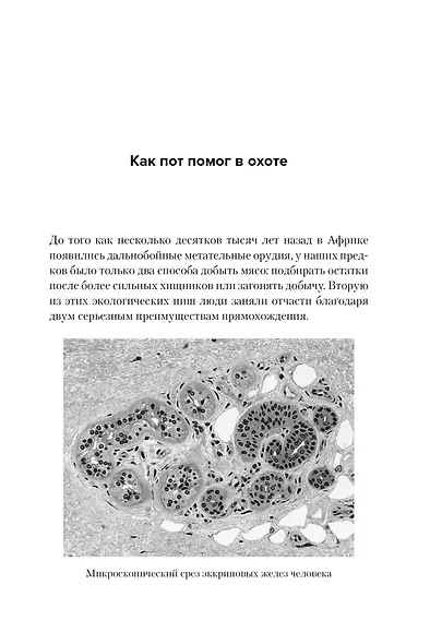 Цифры не лгут. 71 факт, важный для понимания всего на свете - фото 8