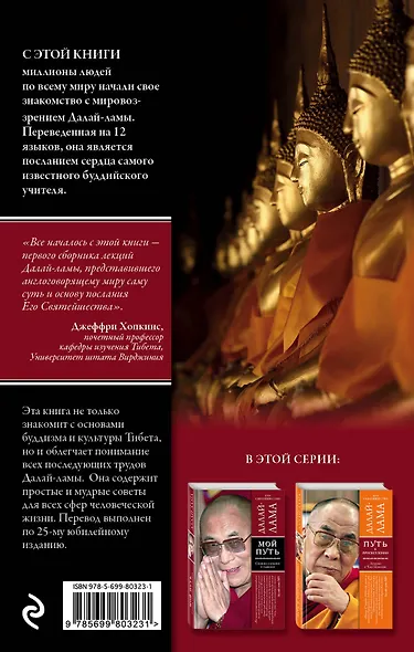 Доброта, ясность и прозрение. Основы тибетского буддизма (оф. 2) - фото 2
