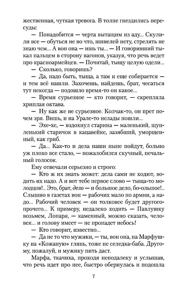 Чапаев - фото 8