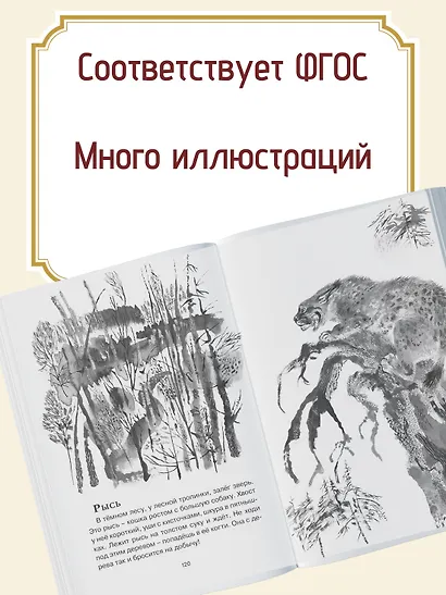 Друзья - фото 5