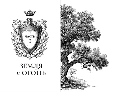 Дареш. Сердце белого леса (#1) - фото 7