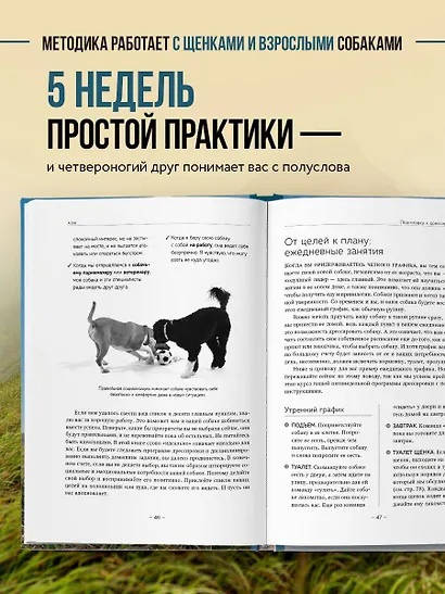 Дрессировка без наказания. 5 недель, которые сделают вашу собаку лучшей в мире - фото 5