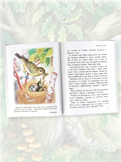 Мышонок Пик. Рассказы о животных - фото 4