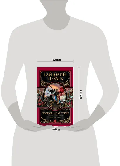 Разделяй и властвуй! Записки триумфатора - фото 3