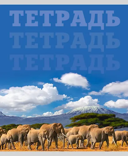 Тетрадь в клетку Listoff, "В мире животных", 80 листов, в ассортименте - фото 4