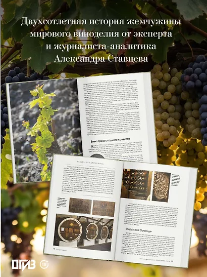 Летопись страны через историю виноделия - фото 5