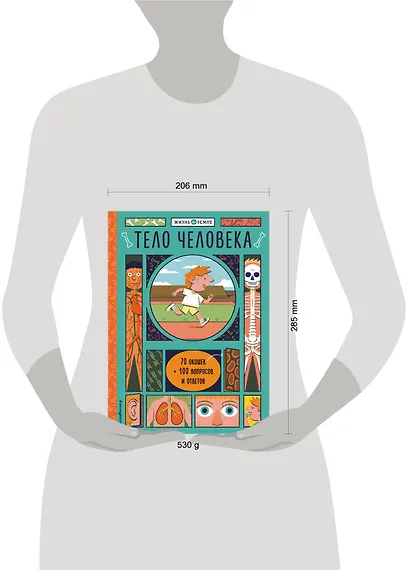 Тело человека (с окошками) - фото 4