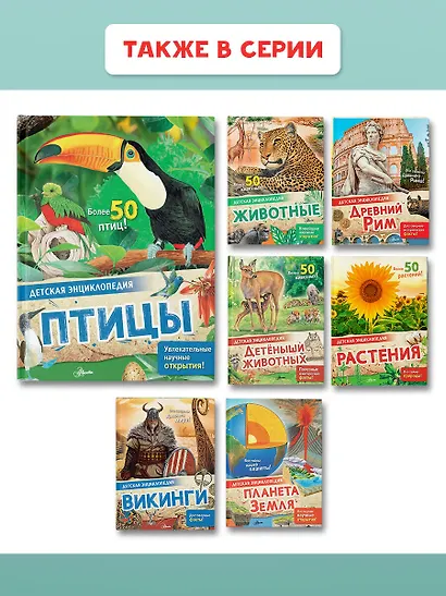 Птицы - фото 9