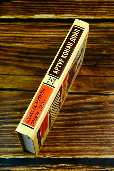 Собака Баскервилей. Долина Страха - фото 5