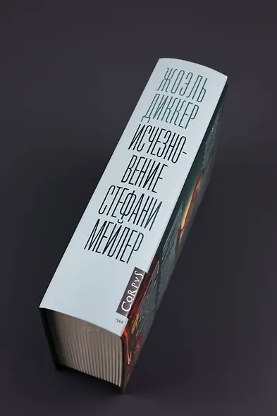 Исчезновение Стефани Мейлер - фото 5