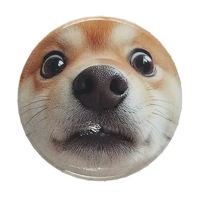 Значок Сиба-ину (фотопринт) (металл) (56мм) (ЗН2025-079) Bookvalno - фото 2