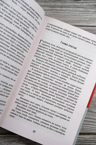 Море смерти, берег любви - фото 9