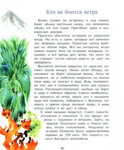 Курилы. Самый край Российской земли - фото 3