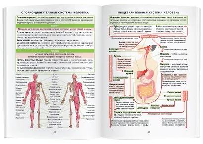 Биология. 7-11 класс. Справочник в таблицах - фото 7