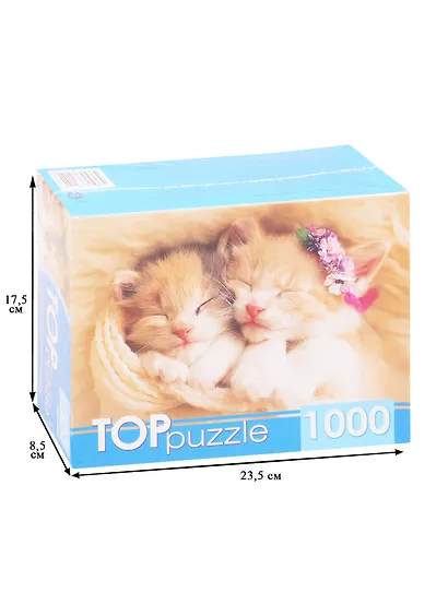 Пазл Два спящих котенка TOPpuzzle 1000 элементов ГИТП1000-2142 - фото 2