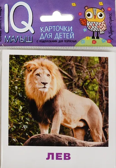 Умный малыш. Животные жарких стран. Набор карточек для детей. - фото 1