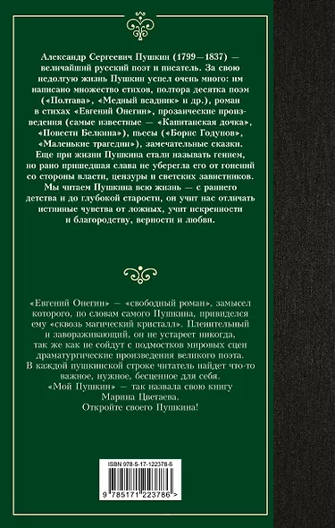 Евгений Онегин - фото 2