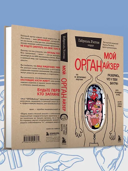 Мой ОРГАНайзер. Разберись, что у тебя внутри: на что злится сердце, кого ненавидят нервы и что не переваривает кишечник - фото 13