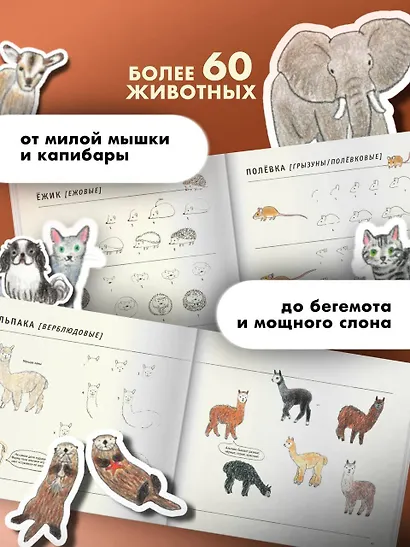 Школа рисования для начинающих: милые животные - фото 5