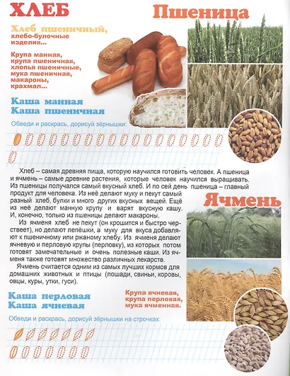 Что у нас на столе? Для детей 4-6 лет - фото 2