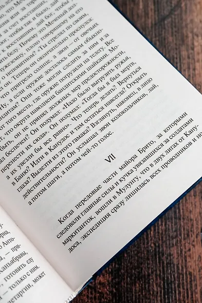 Война конца света - фото 10