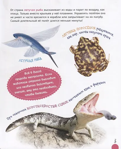 Удивительные животные (Первая энциклопедия) - фото 6