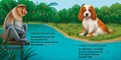 Такие разные птицы. Загадки-рифмы - фото 6