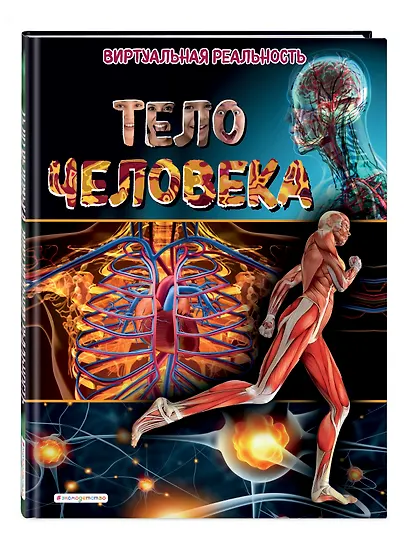 Тело человека. Виртуальная реальность - фото 3