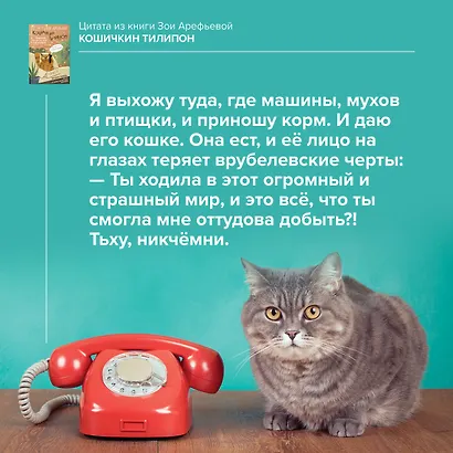 Кошичкин тилипон. Правдиви истори о котиках и их никчемни. Экспресс-помощь для тех, кто застрял в рутине и ищет вдохновение - фото 13