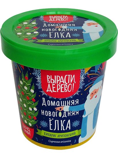 Набор для выращивания "Домашняя новогодняя елка. Кипарис" - фото 1