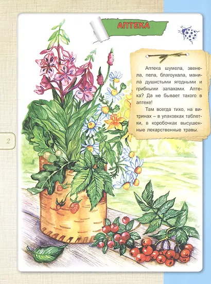 Зеленая аптека - фото 3