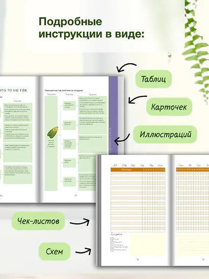 Цветовод на всю голову. Шпаргалка-трекер по уходу за комнатными растениями - фото 7