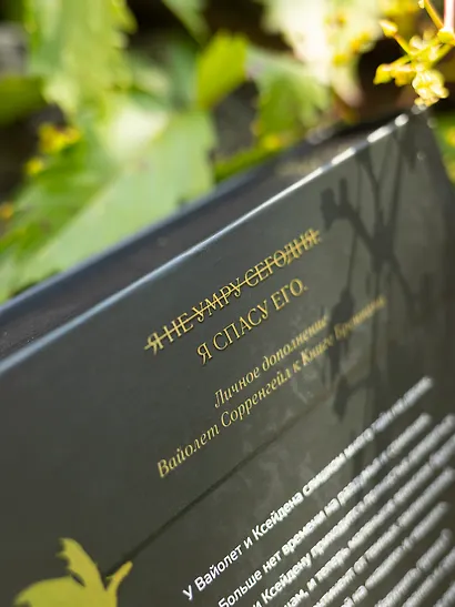 Ониксовый шторм (черный обрез) - фото 13