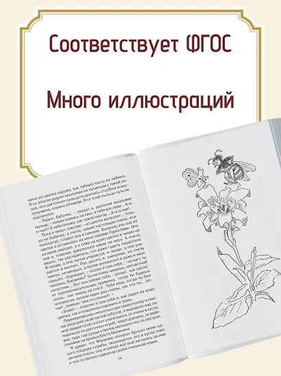 Баранкин, будь человеком! - фото 5
