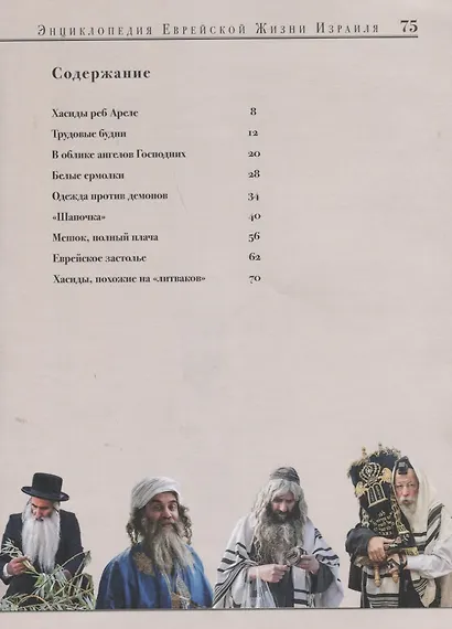 Евреи Святой Земли. Энциклопедия Еврейской жизни Израиля - фото 2