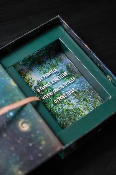 Оракул «Священный лес». Таро, гадания и знаки. Медитации в подарок - фото 12