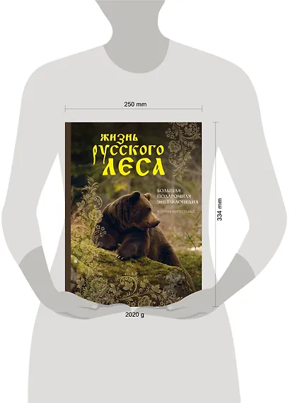 Жизнь русского леса (издание дополненное и переработанное) (медведь) - фото 4