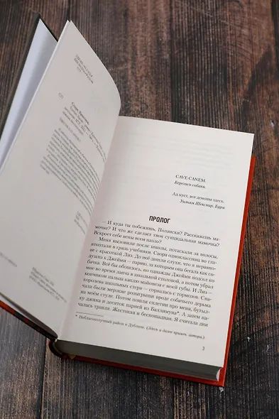 Гончие Лилит - фото 12