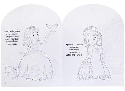 НРДМ №1820 София прекрасная - фото 3