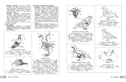 Биология - фото 14