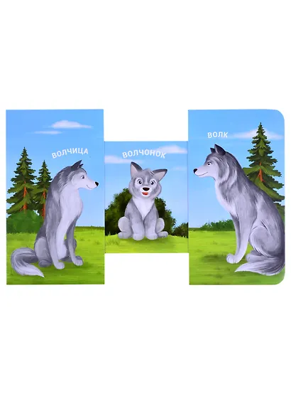 Книжки - задвижки. Мама, папа и малыш. Дикие животные - фото 4