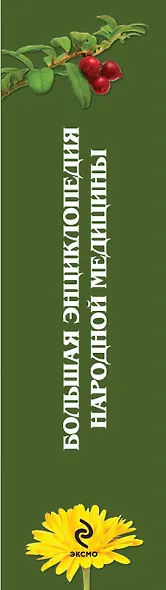 Большая энциклопедия народной медицины. От Астмы до Ячменя - фото 4
